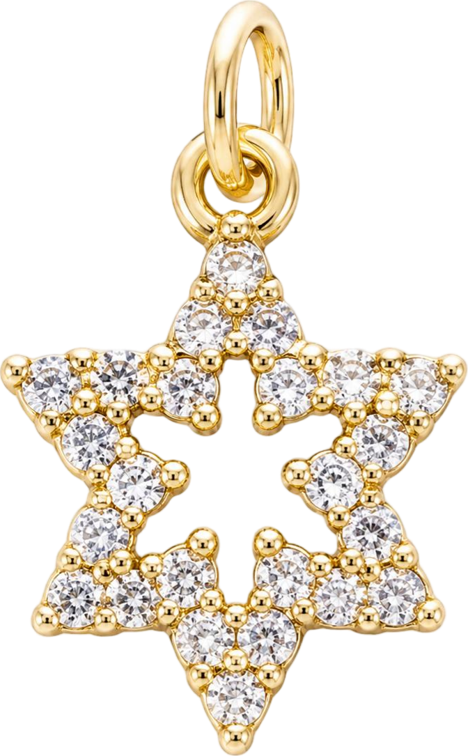 Gold Star Charm